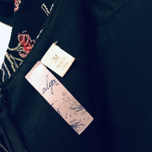 Embroidered Dress - Francesca’s - Picture 3 of 3